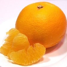 八朔のみずみずしさをお楽しみください